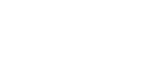 Camtec Logonew-wo